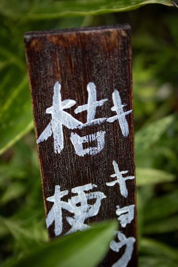 Close-up of a wooden sign with Japanese characters amidst lush greenery.